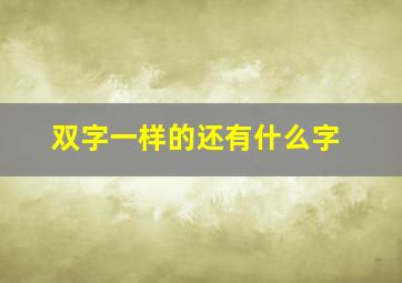 双字一样的还有什么字