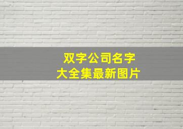 双字公司名字大全集最新图片