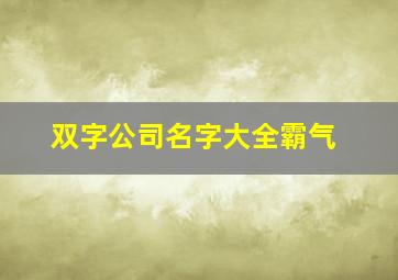 双字公司名字大全霸气