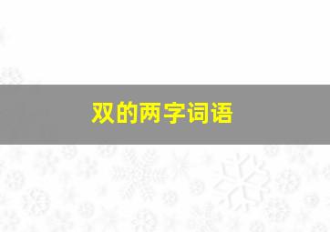 双的两字词语