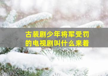 古装剧少年将军受罚的电视剧叫什么来着