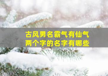 古风男名霸气有仙气两个字的名字有哪些