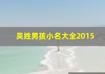 吴姓男孩小名大全2015