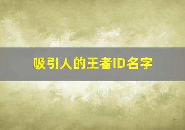 吸引人的王者ID名字