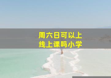 周六日可以上线上课吗小学