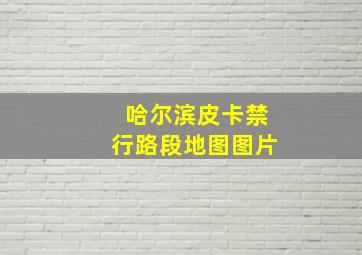 哈尔滨皮卡禁行路段地图图片