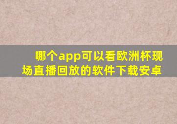 哪个app可以看欧洲杯现场直播回放的软件下载安卓