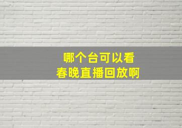 哪个台可以看春晚直播回放啊