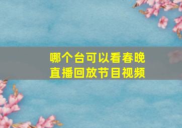 哪个台可以看春晚直播回放节目视频