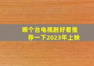 哪个台电视剧好看推荐一下2023年上映