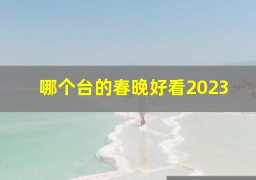 哪个台的春晚好看2023