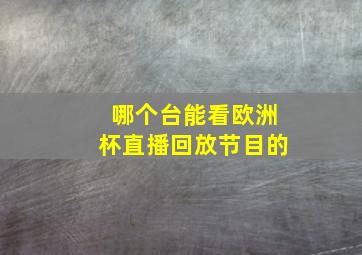 哪个台能看欧洲杯直播回放节目的