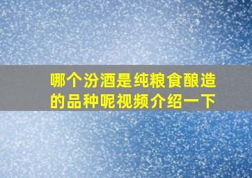 哪个汾酒是纯粮食酿造的品种呢视频介绍一下