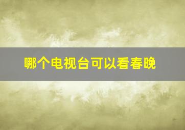 哪个电视台可以看春晚