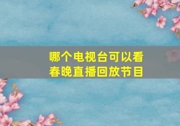 哪个电视台可以看春晚直播回放节目