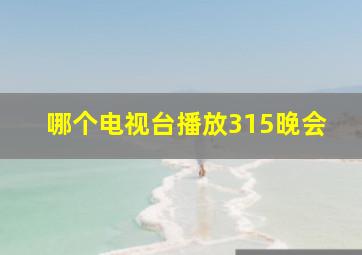 哪个电视台播放315晚会