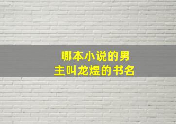 哪本小说的男主叫龙煜的书名