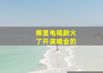 哪里电视剧火了开演唱会的