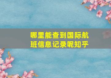 哪里能查到国际航班信息记录呢知乎