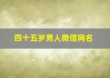 四十五岁男人微信网名