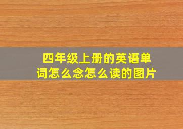 四年级上册的英语单词怎么念怎么读的图片