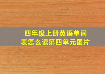 四年级上册英语单词表怎么读第四单元图片