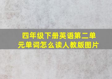 四年级下册英语第二单元单词怎么读人教版图片