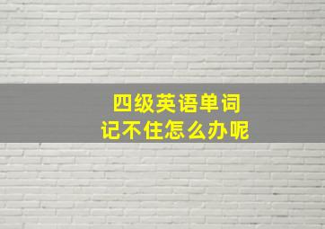 四级英语单词记不住怎么办呢