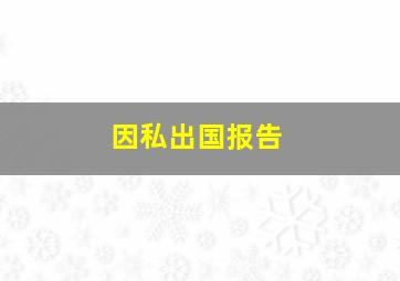 因私出国报告