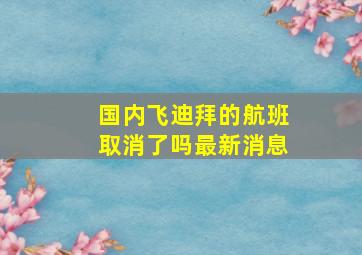 国内飞迪拜的航班取消了吗最新消息