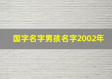 国字名字男孩名字2002年