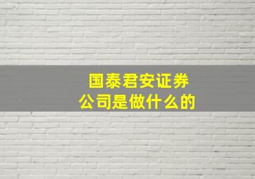 国泰君安证券公司是做什么的