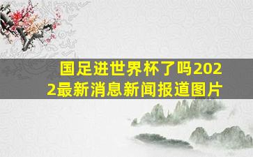 国足进世界杯了吗2022最新消息新闻报道图片