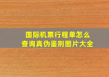 国际机票行程单怎么查询真伪鉴别图片大全