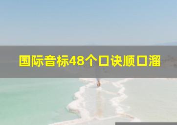 国际音标48个口诀顺口溜