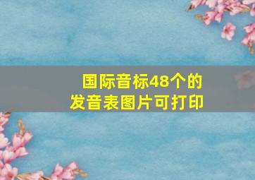 国际音标48个的发音表图片可打印