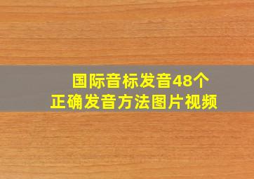 国际音标发音48个正确发音方法图片视频