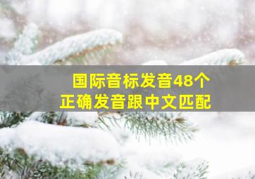 国际音标发音48个正确发音跟中文匹配