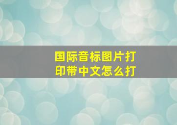 国际音标图片打印带中文怎么打