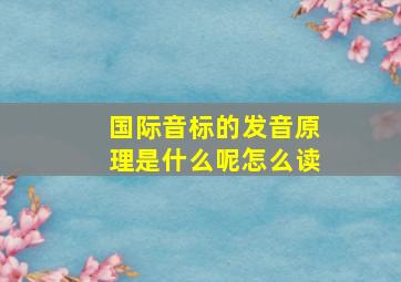 国际音标的发音原理是什么呢怎么读