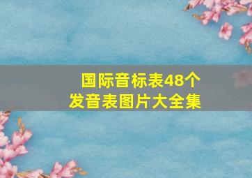 国际音标表48个发音表图片大全集