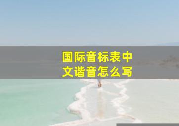 国际音标表中文谐音怎么写