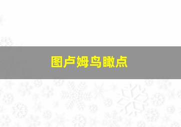 图卢姆鸟瞰点