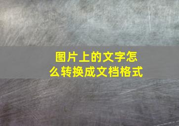 图片上的文字怎么转换成文档格式