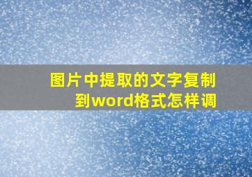 图片中提取的文字复制到word格式怎样调