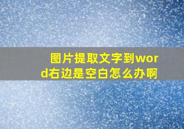 图片提取文字到word右边是空白怎么办啊