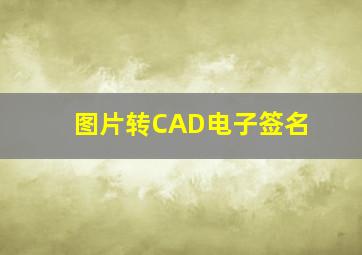 图片转CAD电子签名