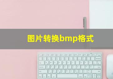 图片转换bmp格式