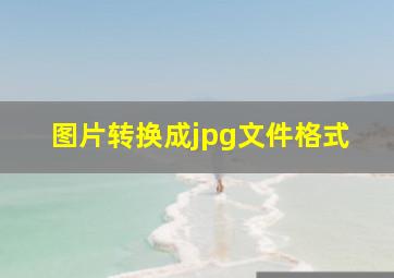 图片转换成jpg文件格式