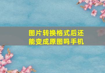 图片转换格式后还能变成原图吗手机